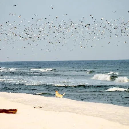 White Pearl 1.08 * Timmendorfer Strand