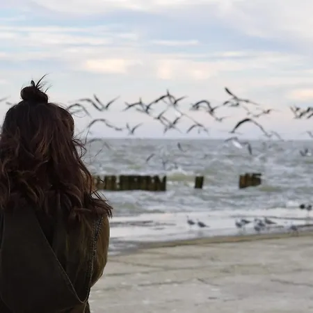 White Pearl 1.08 Apartment *